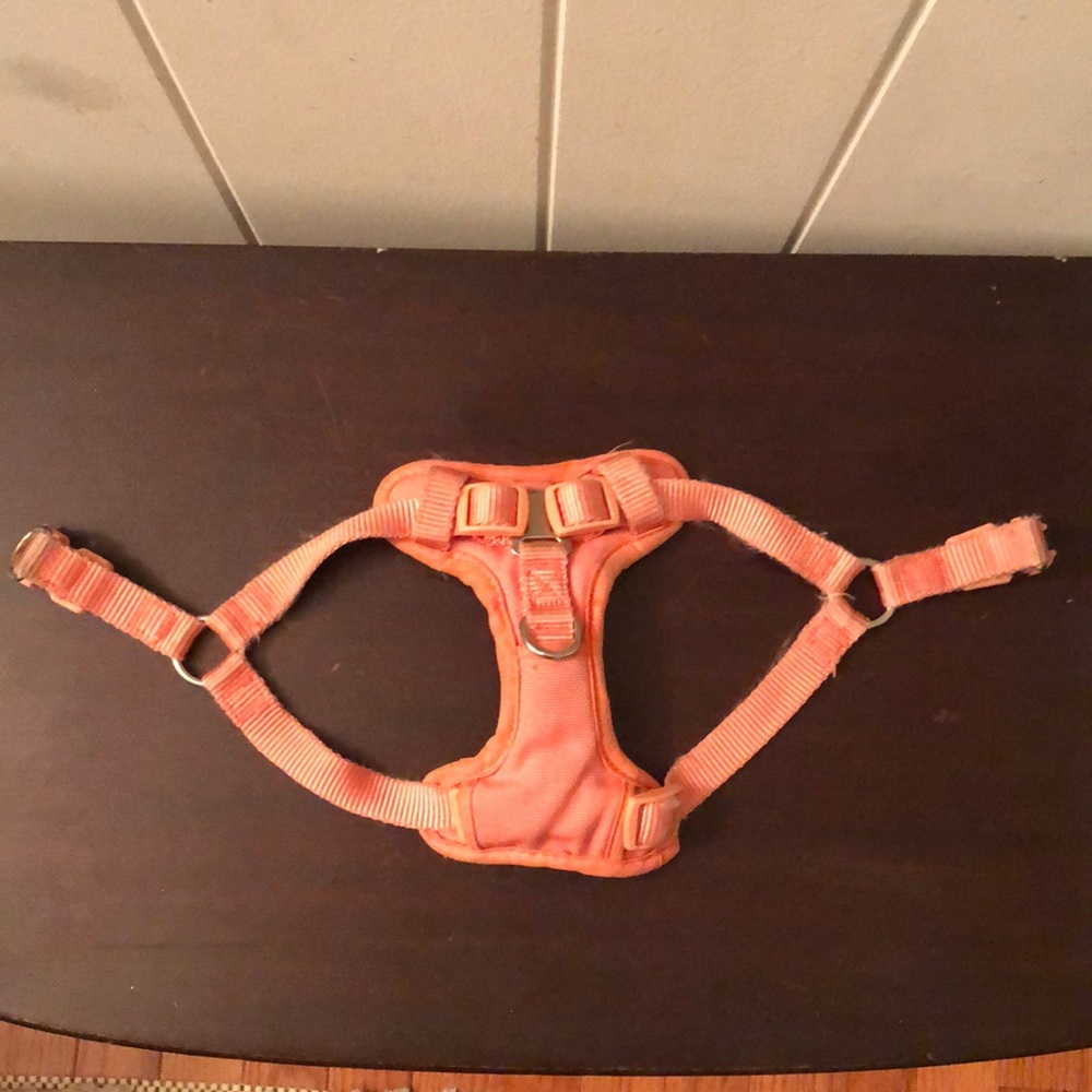 Dog Harness
